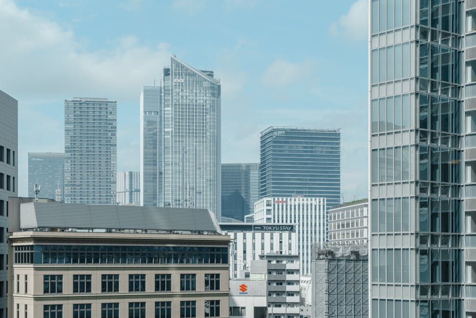 Курсы программирования и дизайна