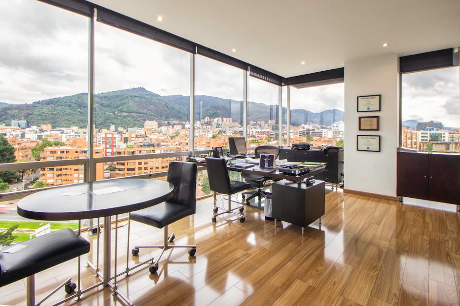 Курсы программирования и дизайна